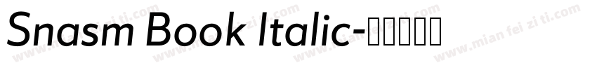 Snasm Book Italic字体转换